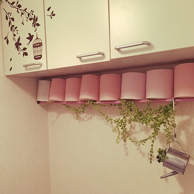 Bathroom,つっぱり棒収納,トイレットペーパーの収納,100均,セリア,雑貨,フェイクグリーン,ダイソー nami-tsunの部屋