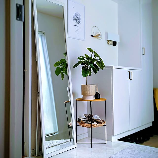 Entrance,観葉植物,観葉植物初心者,ウンベラータ kumijiの部屋