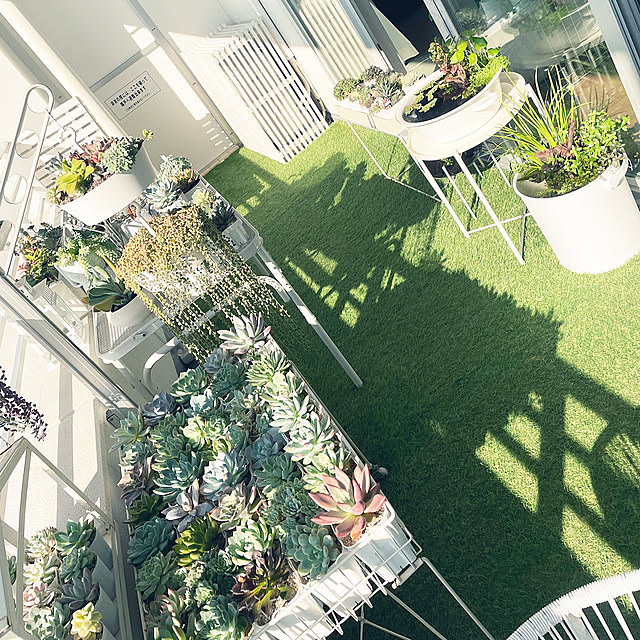 Overview,IKEA,北欧,ベランダガーデニング,ホワイトインテリア,北欧インテリア,めだか,ビオトープ,人工芝,整理収納アドバイザー,シンプルインテリア,グリーンのある暮らし,モノトーンインテリア,室外機上,マンションベランダ,植物のある暮らし,ベランダ収納,観葉植物のある暮らし,IKEAトレイテーブル,ホーローたらい,IKEAガーデニング,ベランダでビオトープ,バケツでビオトープ nanakoの部屋