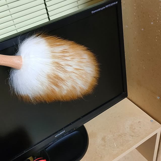 On Walls,新生活,賃貸,ウールダスター,はたき,モップ,ホコリ取り,オシャレ,壁掛け,掃除 emaria1226の部屋