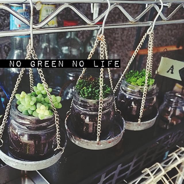 多肉植物,セダム,ジャムの瓶,皮ピック,NO GREEN NO LIFE,セリアブリキ吊り下げカゴ Fellowの部屋