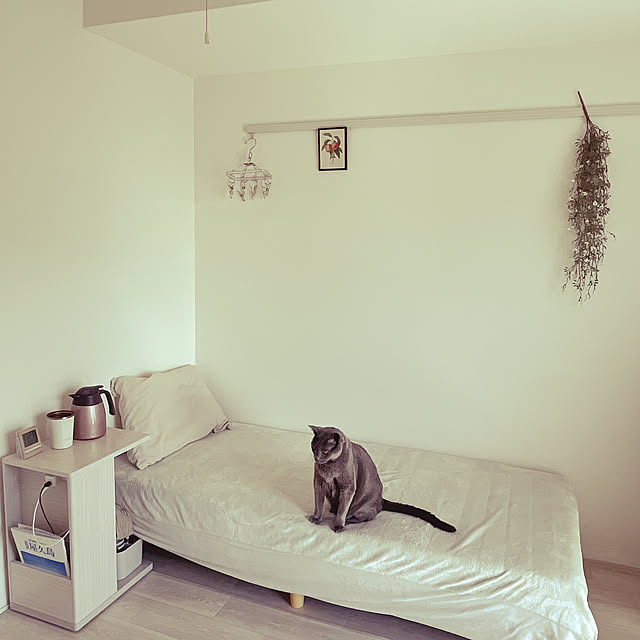 Bedroom,一人暮らし,シンプル,ねこと暮らす leaの部屋