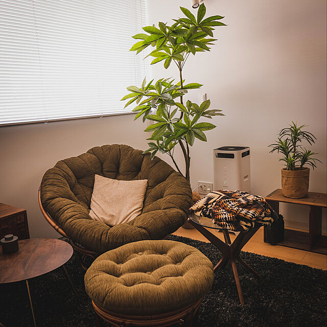 ニトリ,観葉植物,一人暮らし,フェイクグリーン,1R,Bedroom s_moの部屋