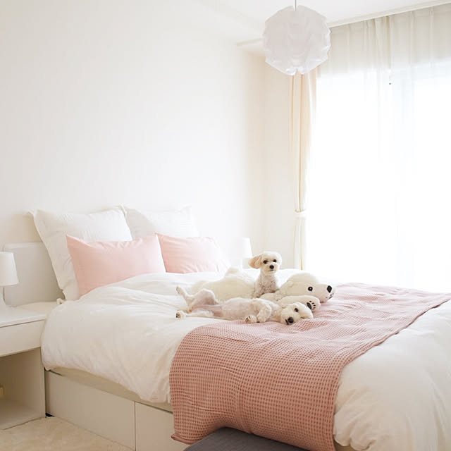 Bedroom,北欧インテリア,ニトリ,シンプルライフ,シンプル,ホワイトインテリア,IKEA,犬のいる暮らし,ベッドルーム,北欧,ベッドカバー,寝室,ベッド,クイーンサイズベッド,フランスベッド,模様替え,羽毛布団,Instagram→nao157cm Naoの部屋