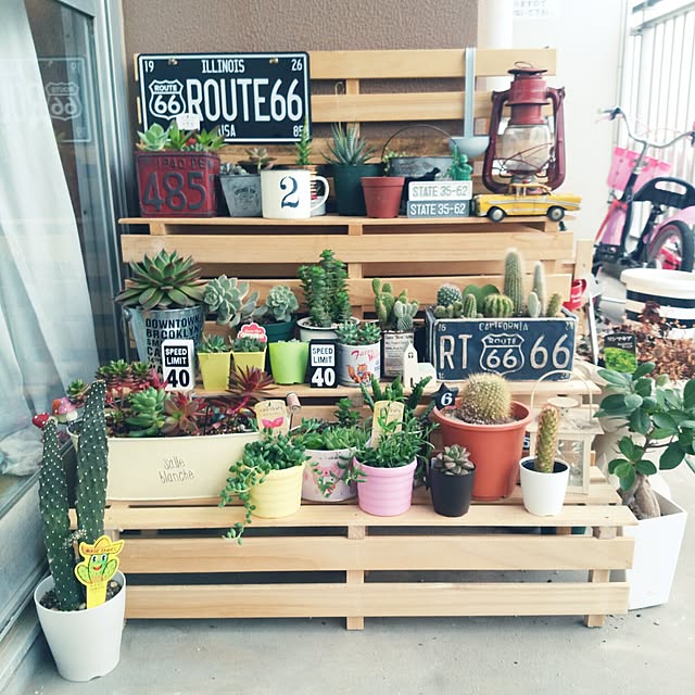 Entrance,団地,団地住まい,ベランダ,すのこ,すのこリメイク,すのこDIY,ハンドメイド,リメイク,ベランダガーデン,リメ缶,サボテン,セリア,ダイソー,棚DIY,多肉植物 izmの部屋