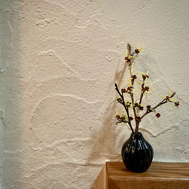 マンサク,花瓶,一輪挿し,フラワーベース,セリア,100均,珪藻土の壁,On Walls Kikko.の部屋