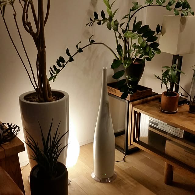 On Walls,観葉植物,間接照明,IKEA,グリーンのある暮らし,お気に入りアイテム,お気に入り,シンプル,加湿器,アロンジェ,超音波式アロマ加湿器 chieの部屋