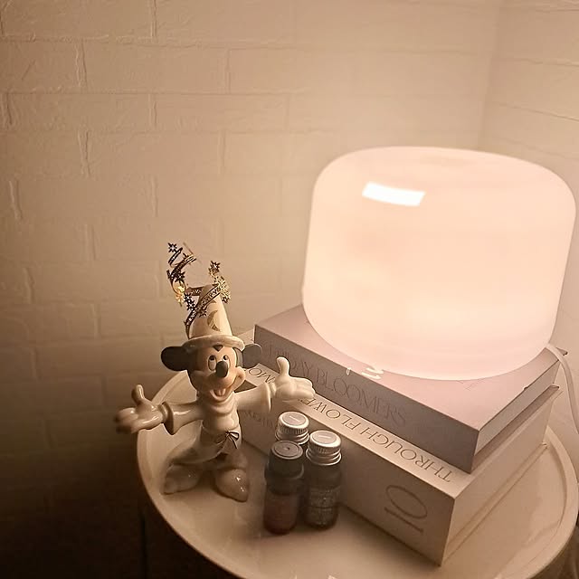 Bedroom,寝室,寝室の一角,3COINS,無印良品,アロマのある暮らし,アロマディフューザー,照明,ディズニー,アロマオイル,間接照明 toro_room0503の部屋