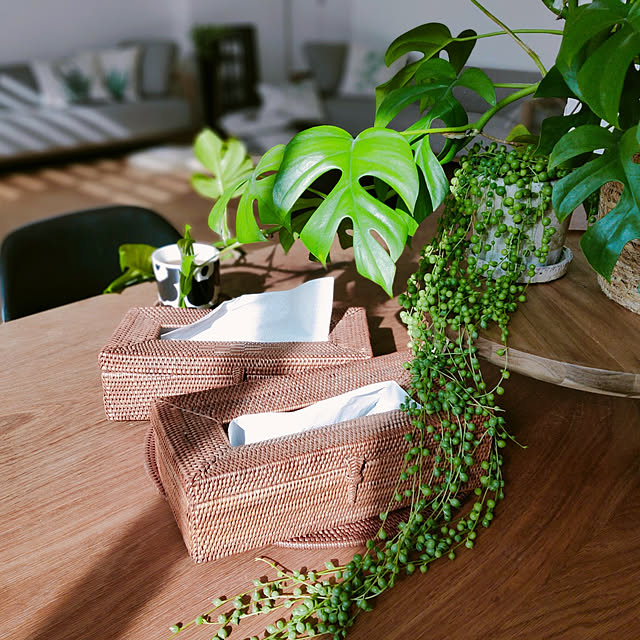 My Desk,ティッシュケース,観葉植物,ヒメモンステラ,北欧インテリア,注文住宅,アタ製品,グリーンネックレス ryomomの部屋