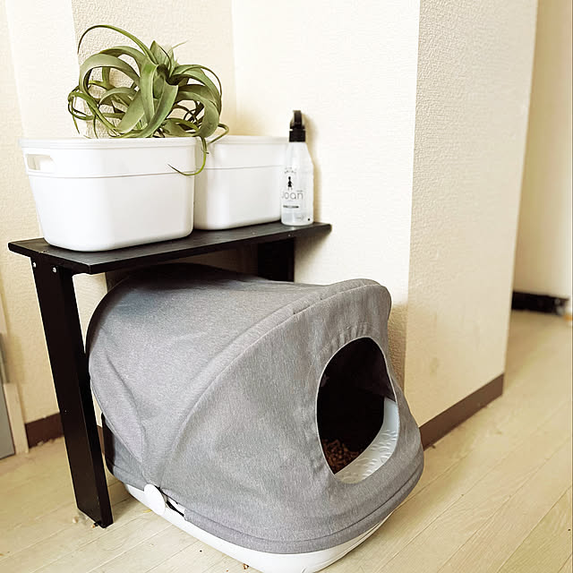 キセログラフィカフェイク,ニトリのフェイクグリーン,ダイソーのボックス,ジョアンすまいの除菌スプレー,実感消臭トイレ,エステーペット,暮らし快適化特集,猫と暮らす家,ねこのいる日常,猫トイレ,極狭2LDKマンション,モノトーンインテリア,賃貸でも楽しく♪,賃貸でも諦めない！,いいね、フォロー本当に感謝です♡,賃貸インテリア,DIY棚,Bathroom YUKA-REO-MOMOKOの部屋