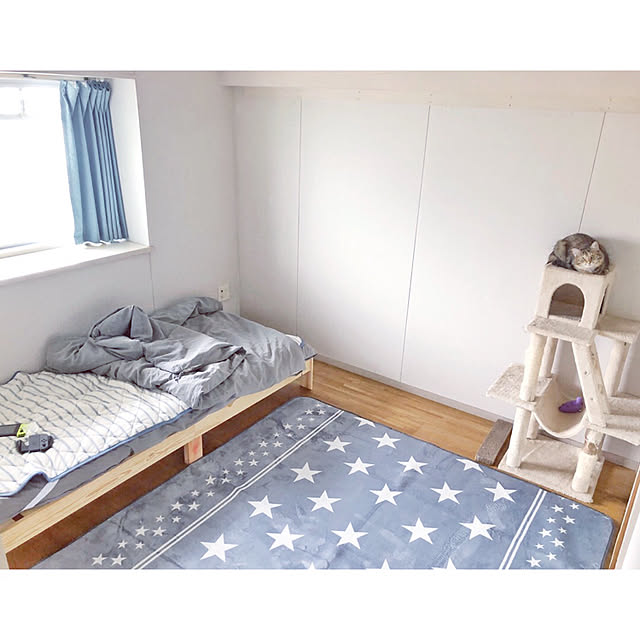 ナチュラル,ニトリ,北欧,男前,Overview,星柄,キャットタワー,6畳,子供部屋男の子,子供部屋,ねこのいる暮らし piiiの部屋