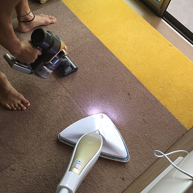 ダイソン,ハンディクリーナー,スチームモップ,ダニ対策,猫と暮らす工夫,東リ タイルカーペット,Lounge mikomaruの部屋