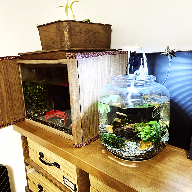 Lounge,アンティーク,100均,DIY,セリア,適当DIY,ボトルアクアリウム,金魚水槽,コード類どうにかしたい,水槽を必死にナチュラルに(´`:),下手の横好き,roomclip初心者,なんとかなる,アクアリウム初心者,ゆるっとDIY,相互フォロー募集中！,いいね&コメント喜びます♥,DIY好きな人と繋がりたい,ダイソー,コーナン HIKARUの部屋