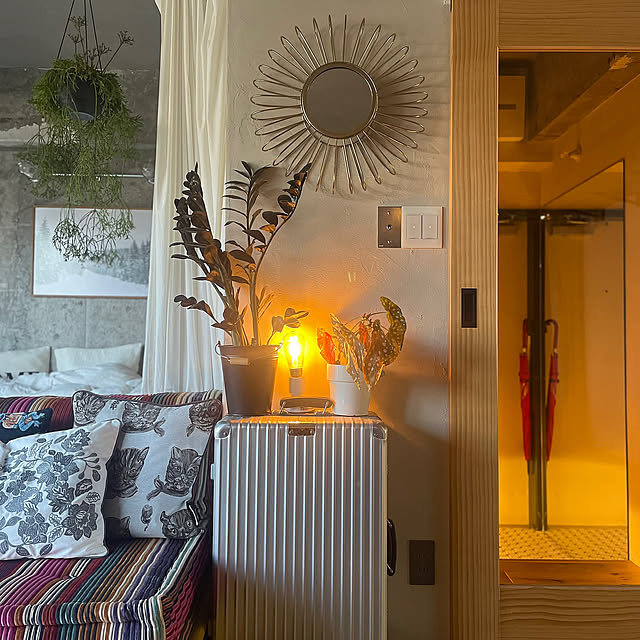 My Shelf,Zuiver,RIMOWA,観葉植物,コンクリート,ワークスペース,フリッツハンセン,リノベーション,海外インテリア,無垢フローリング,fornasetti,犬のいる暮らし,モノトーンインテリア,トグルスイッチ,toolbox,カラフルインテリア,躯体現し,アートのある暮らし,IKEA,ロッシュボボア m.の部屋