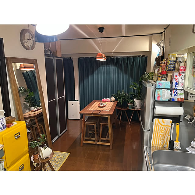 姿見,一人暮らし,賃貸,ダイニングテーブル＆チェア,観葉植物のある暮らし,観葉植物,ダイニング,キッチン,台所,Kitchen 180ssの部屋