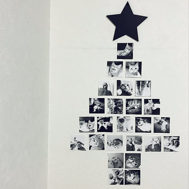 On Walls,スクエア,モノクロ写真,モノクロツリー,クリスマスツリー,クリスマス,ねこのいる日常,写真,グレー,100均,ねこと暮らす,猫,ねこ,モノトーン,セリア,モノクロ,ホワイト,ホワイトインテリア,星インテリア,DIY,ハンドメイド,星 Hotateの部屋