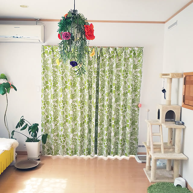 Lounge,カーテン,観葉植物,ねこのいる日常,ねこと暮らす。,ねこのいる風景,ナチュラル,IKEA,フェイクグリーン,いぬと暮らす,北欧,お気に入り,花のある暮らし,照明 imacoco-3の部屋