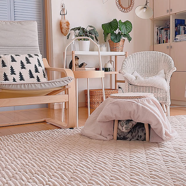 Lounge,3コインズ,3coios,3COINS,ホットカーペットと猫,ホットカーペットは木目調,ホットカーペット,秋色インテリア,ホワイトインテリア,ナチュラルインテリア,ホワイトナチュラル milkcocoaの部屋