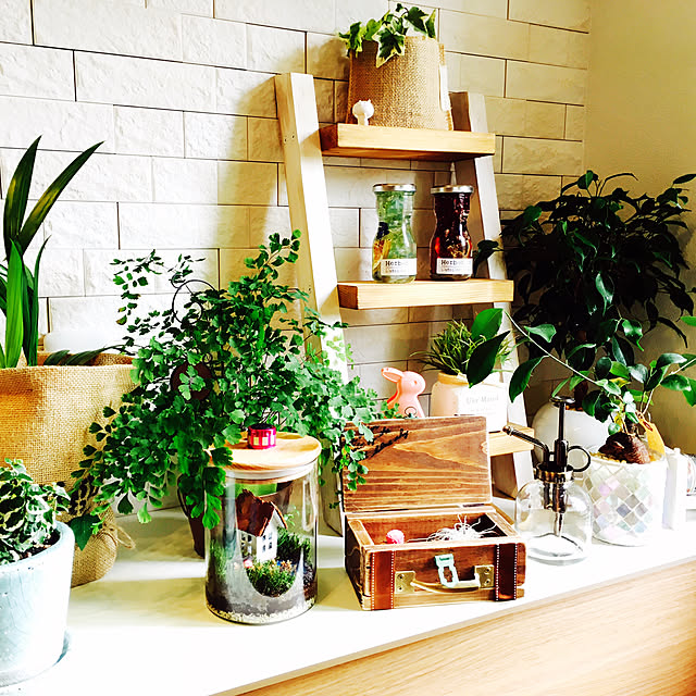 My Desk,ハーバリウム,雑貨,インテリア,小物,植物,木目,観葉植物,ナチュラル,タイル,北欧 haneti3の部屋