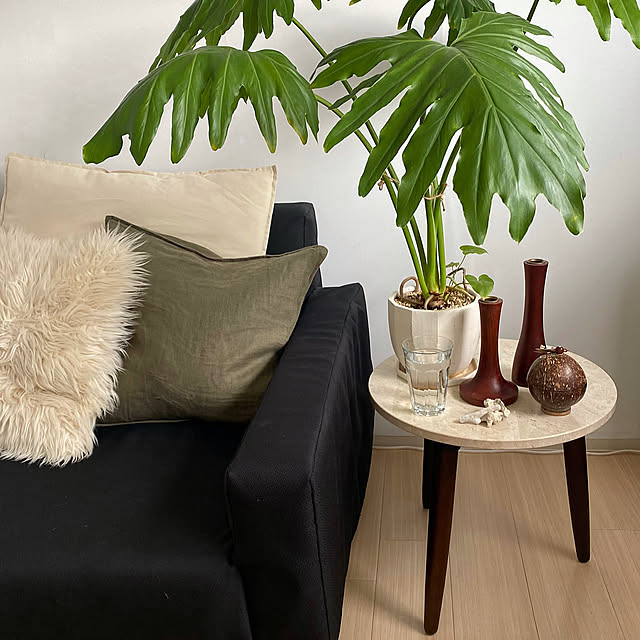 Lounge,観葉植物,サイドテーブル,海外風インテリア,海外インテリア,賃貸インテリア,海外インテリアに憧れる,RC北海道支部,緑のある暮らし,おうち時間,リビングインテリア,instagram ayaaa_mn,IKEA,ZARA HOME,大理石テーブル,いぬと暮らす,H&M HOME,ミックスインテリア,犬のいる暮らし,赤ちゃんのいる暮らし,モダンインテリア,モダンスタイル MANOAの部屋