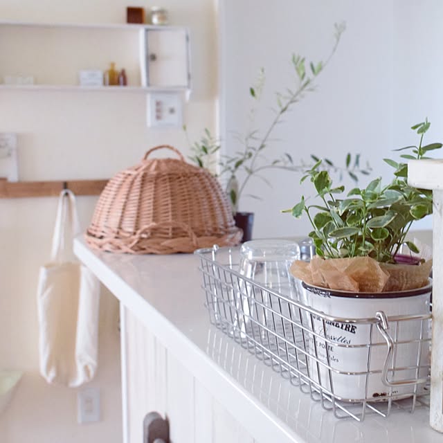 Kitchen,ワイヤーバスケット,無印良品,室内グリーン,グリーンのある暮らし,ブログしています♡,IG→gemini_natural,シンプル×ナチュラル×ちょっとほっこり,ナチュラル,ダイソー,100均,DIY,カウンターリメイク,カッティングシート Geminiの部屋