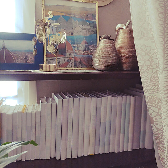 My Shelf,目隠し,書籍の整理,半紙で,トレシングペーパー nyankonecoの部屋