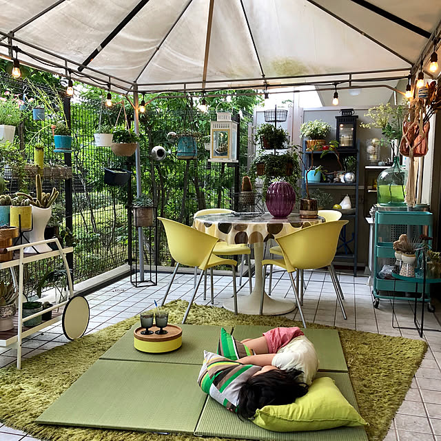 家族で暮らす,植物のある生活,モニター当選,イケヒコ・コーポレーション,ヒコラー,プラード,い草,ライトグリーン色の畳,イケヒコ,置き畳プラード,ストリングライト,RoomClipドラマ化,Entrance,アウトドアリビング,ガーデン yanaの部屋