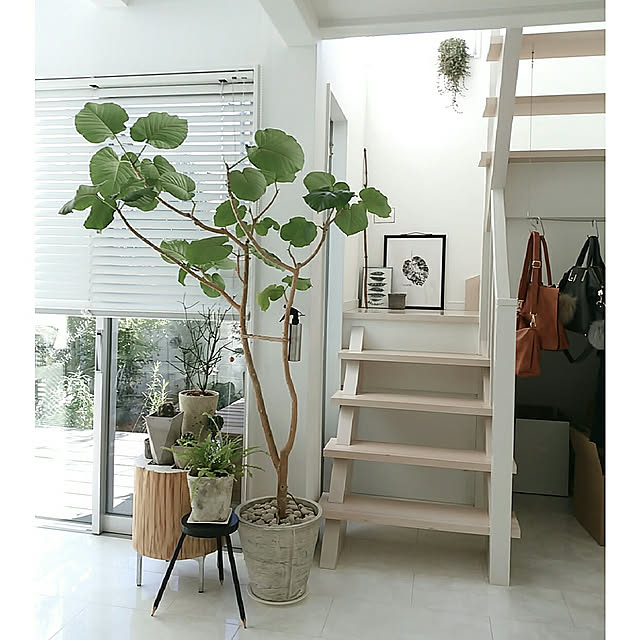 On Walls,吹き抜け,ウンベラータ,グリーン,リビングベッド,DIY,丸太,スケルトン階段,いいね＆フォローありがとうございます mi-の部屋
