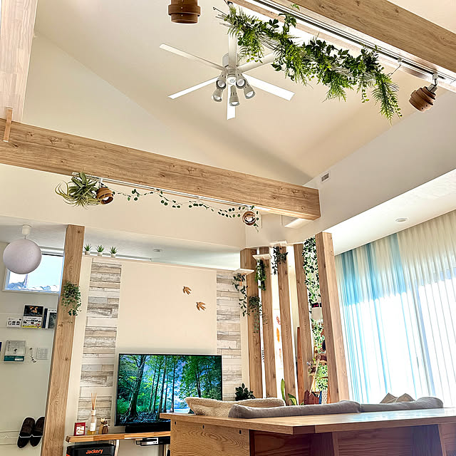Lounge,バーチカルブラインド,オーデリック シーリングファン,オーデリック,勾配天井 シーリングファン,勾配天井のリビング,勾配天井,太陽光,心地よい暮らし,平家,平家で暮らす,猫と暮らす,猫と暮らす家,猫のいる暮らし,AI工務店,アイ工務店 yutaの部屋