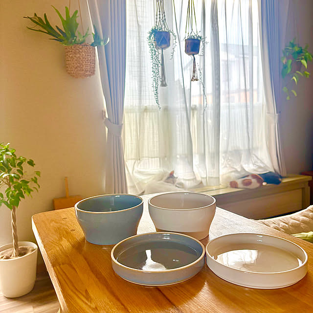 食器,プチプラ,ダイソー,お気に入りの器,観葉植物,ナチュラル,キッチングッズ,ナチュラルカラー,カーテン,癒し,窓辺,ねこと暮らす,窓辺に3ニャン♡ miwaの部屋
