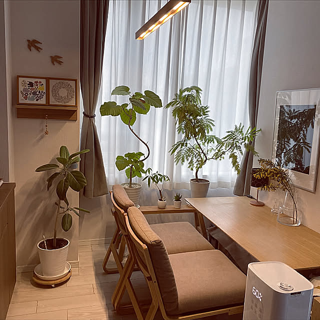 つばめオーナメント,ブラウン会,BIRDS’ WORDS,NO GREEN NO LIFE,観葉植物のある暮らし,シンプルインテリア,エバーフレッシュ,ホルムガード フローラ,ポスターのある暮らし,無印良品,ミモザ,elava,ポスターのある部屋,IKEA フレーム,mina perhonen,harikko,HOLMEGAARD,scope version.R,Lounge,リビングでもダイニングでも使えるシリーズ mugi1123の部屋