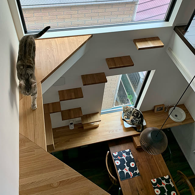 キャットステップ,猫スペース,ねこと暮らす,ねこと暮らす。,キャットタワー,ねこ,猫のいる暮らし,キャットウォーク,狭小住宅,ねこのいる日常,猫窓,FIX窓,On Walls kaedeの部屋