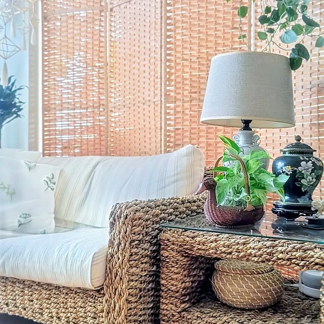 Lounge,観葉植物のある暮らし,一人暮らし,マンション暮らし,2026.7.8,観葉植物,URBAN GREEN LIFE,ポトス,ポトス水挿し,グリーン YuriYuriの部屋