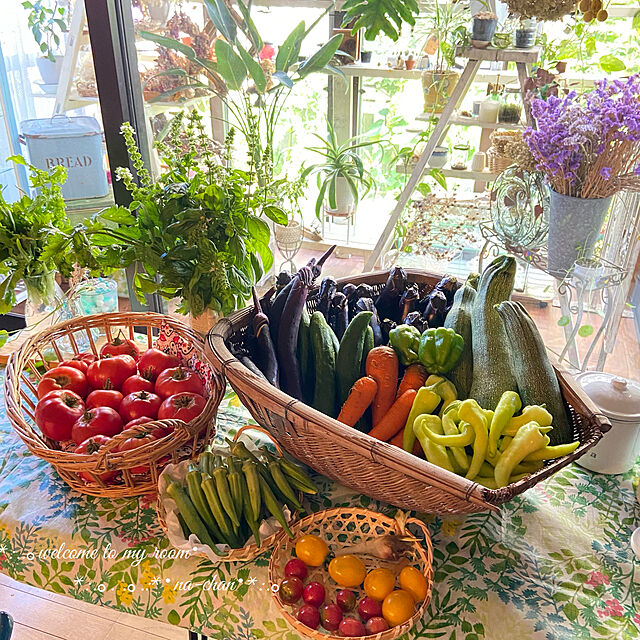 美味しい暮らし,家庭菜園,自然を感じる暮らし,夏の記録,夏,料理好き❤︎,採れたて野菜,種から育てる,無農薬野菜,My Desk na-chanの部屋