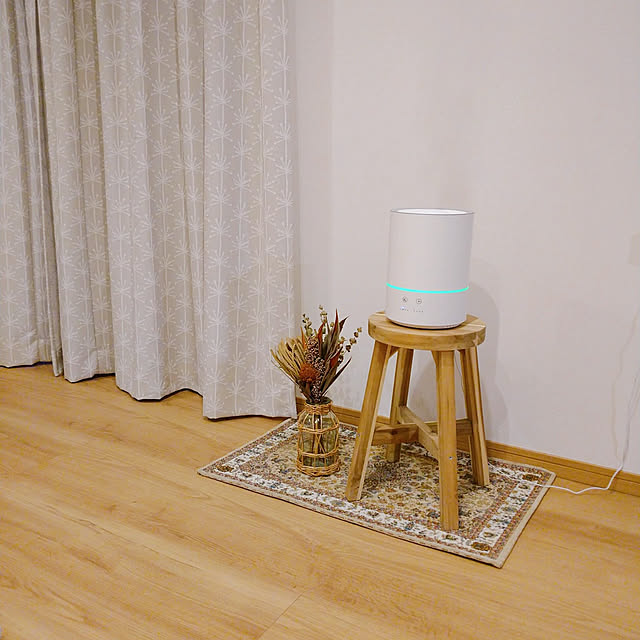 Lounge,加湿器,超音波加湿器,スコグスタ,グリーンティーラボミスト,スリーコインズ,アンティークマット,スワッグ,ドライフラワー,ドライスワッグ,フラワーベース nasieの部屋