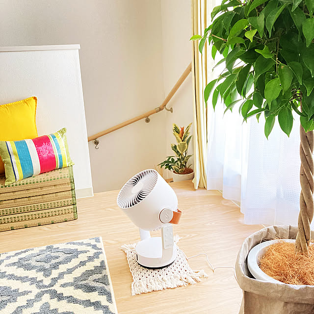 サーキュレーター,メゾネット賃貸,RoomClipショッピング,一人暮らし,観葉植物,買ってよかったもの,一人暮らしインテリア,Lounge,leo sikiの部屋