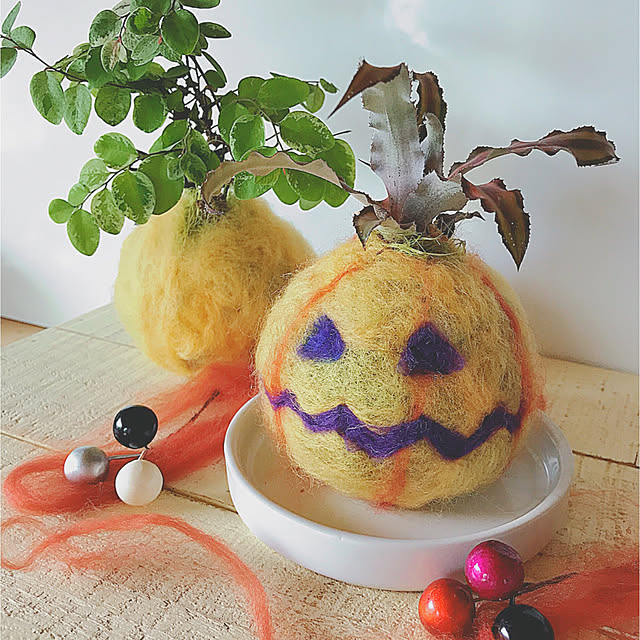 My Desk,観葉植物,ハロウィン仕様,ハロウィン雑貨,着せ替え苔玉,多肉植物,ハンドメイド,手作り,ハロウィン苔玉,苔玉,ハロウィン,グリーン,植物 matsumoの部屋