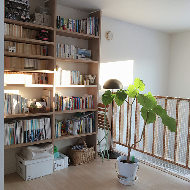 吹き抜け,壁一面の本棚,オープンシェルフ,本棚,グリーンのある暮らし,植物のある暮らし,My Shelf run_cafeの部屋