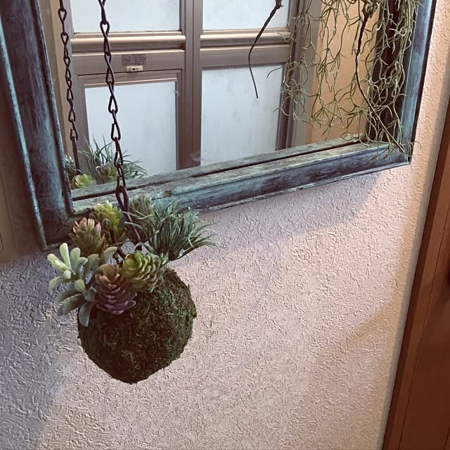 On Walls,10分でできる,100均,セリア,苔玉アレンジ,苔玉吊るしフェイク,ダイソー,苔玉 sansankikiの部屋