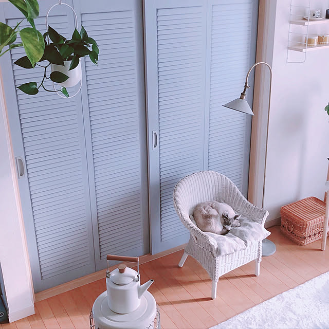 リメイクシート,壁紙屋本舗,ふすま,DIY,RoomClipショッピング,ナチュラルインテリア,ルームランプ,ねこのいる風景,ホワイトナチュラル,飾り棚,ラタンチェア,ねこのいる日常,Lounge milkcocoaの部屋