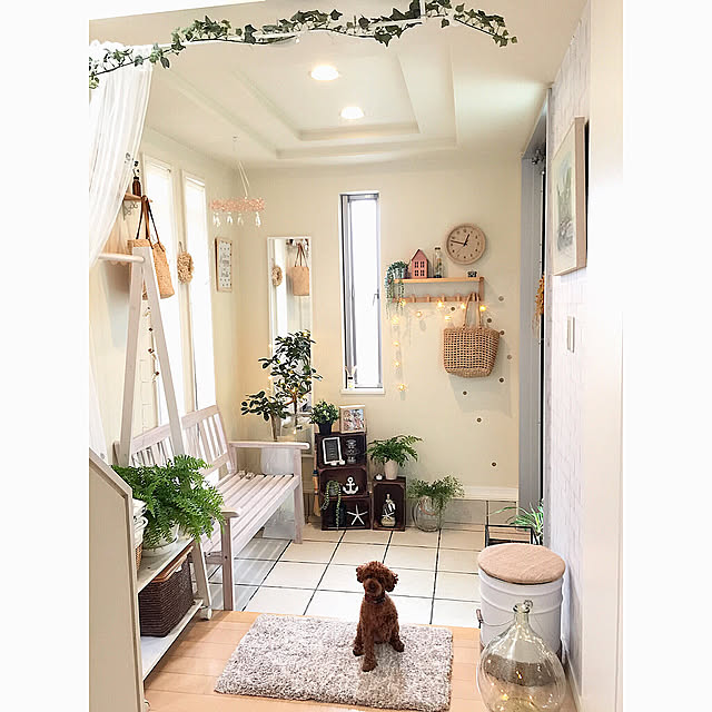 Entrance,ニトリの玄関マット,ペール缶リメイク,山善ペール缶収納スツール,RoomClip mag,いつもいいねやコメありがとうございます♡,フランスゴムの木,シダ植物 cherryの部屋