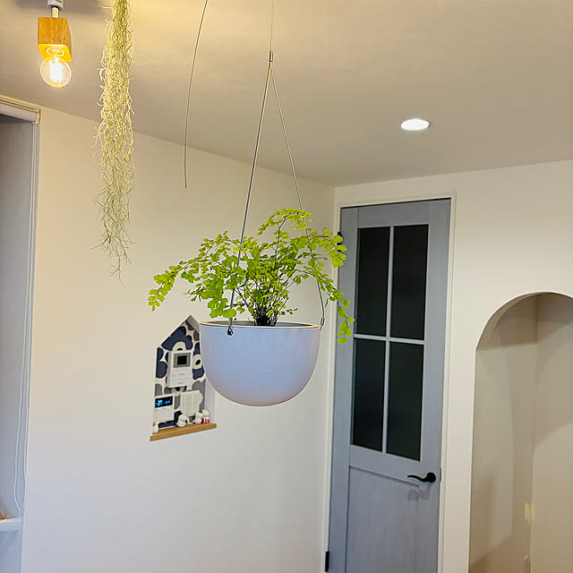 Kitchen,アジアンタム,KINTO,ダクトレールに観葉植物,RoomClipショッピング,KINTO プラントポット,おうち見直し企画,ダクトレール 照明,観葉植物 tiroの部屋