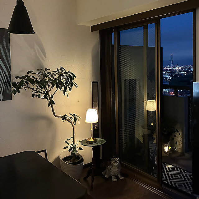 Lounge,模様替え,フランスゴムの木,間接照明のある暮らし,夜のインテリア,犬のいる暮らし,暮らしのひとコマ,観葉植物のある暮らし,ベランダ dearyumiの部屋