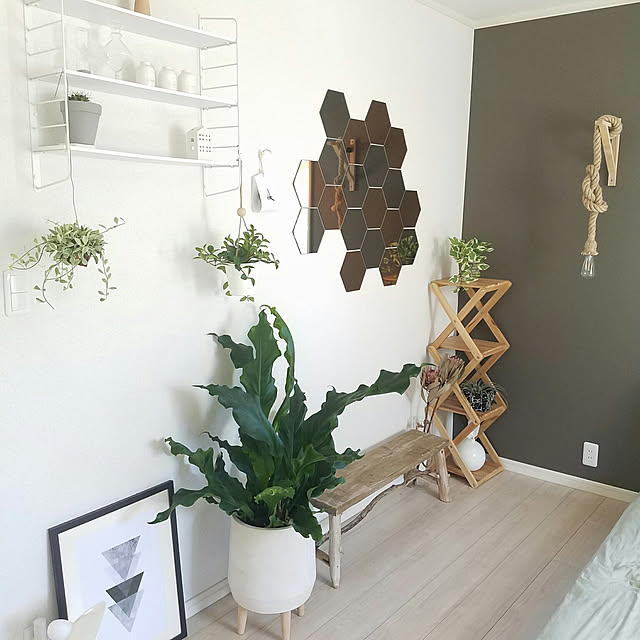 Bedroom,NO GREEN NO LIFE,植物のある暮らし,DIY,足場板古材×流木ベンチDIY,ハニカムミラー,IKEA,ストリングシェルフ風,アクセントクロス,グレーの壁,ロープランプ,セメント鉢,ハンキング,モノトーンナチュラル,ベルメゾンの折りたためるラック,2018.8.22 Erenaの部屋