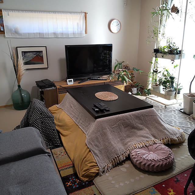 こたつ,８畳の和室リビング,こたつのある部屋,観葉植物 chocococoaの部屋
