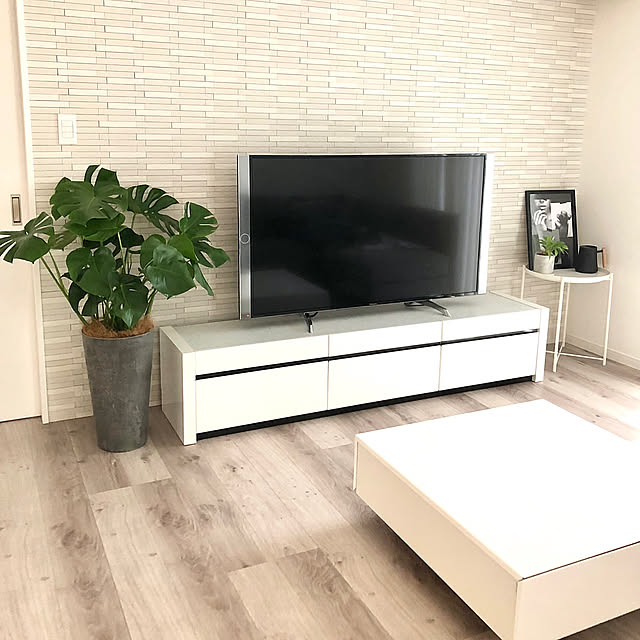 Lounge,hitohana,モンステラ,観葉植物,観葉植物のある暮らし,マイホーム,シンプルインテリア,イベント参加 pattchiの部屋