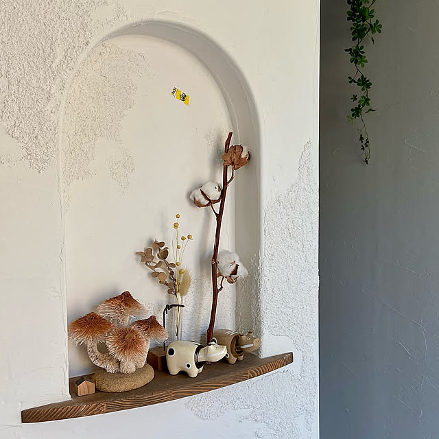 きのこ,ニッチ,ドライフラワー,モカべこ,バニべこ,あかべこ,オブジェ,お気に入り,塗り壁,雑貨屋さん風,mamanの家,レトロ,カフェ風,Entrance Suzuki.Pandaの部屋