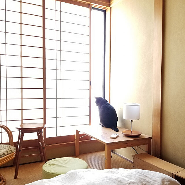 Bedroom,和室,和室インテリア,照明,おしゃれ照明,リモコン,黒猫,デスクライト,ねこ部,ねこのいる日常,インスタ→3kyodai3nyanko mikiの部屋