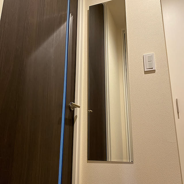 Entrance,ウォールミラー,ニトリ,買ってよかったもの maruchiの部屋