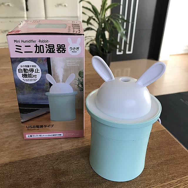 ミニ加湿器うさぎ,ダイソー♡,見て頂き感謝です♪,Bedroom tanomamaの部屋